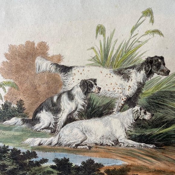 Antique "Setters" By R Pollard Engraver & Print seller Framed Glass Cover - Picture 3 of 9